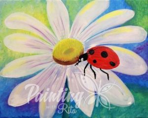 Ladybug
